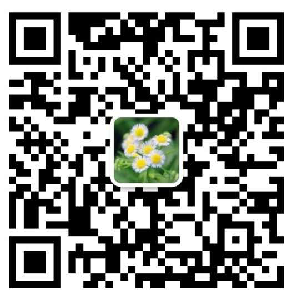 深圳市盛芯世纪科技有限公司